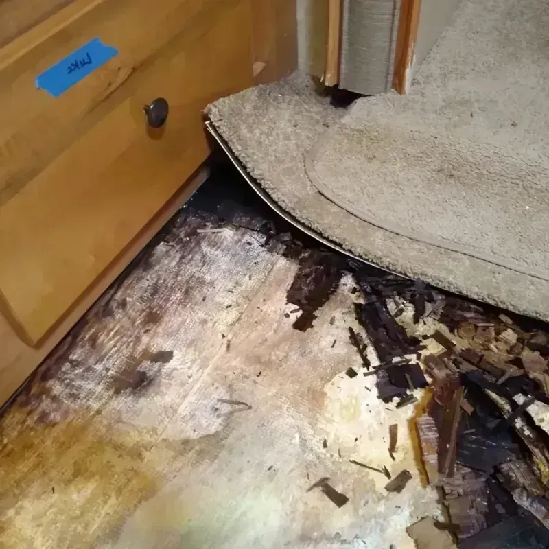 Wood Floor Water Damage in Stapleton, NE